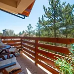 Wonderwood Family Apartment
