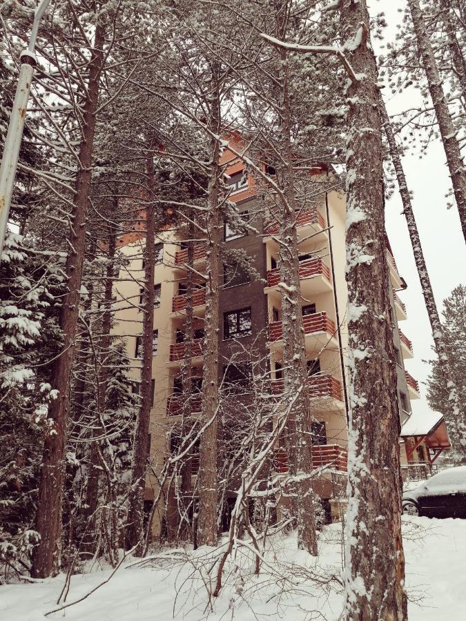 Wonderwood Family Apartment *